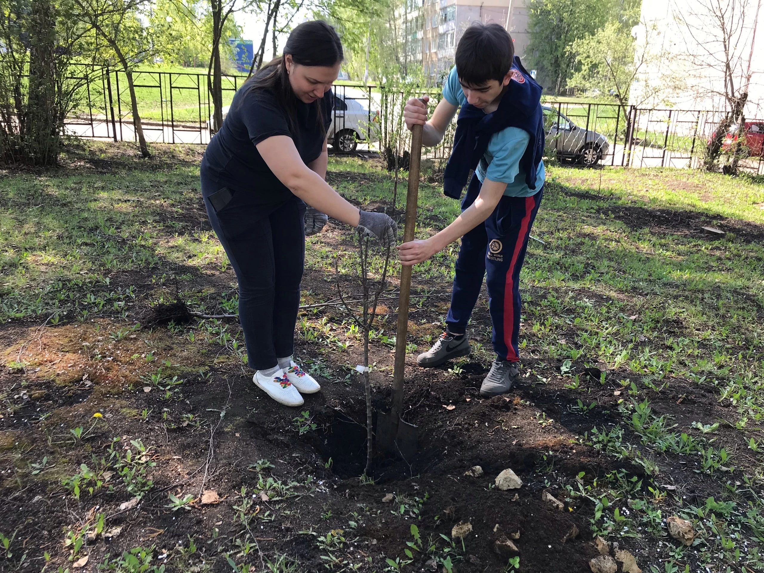 Акция &amp;quot;Наш школьный яблоневый сад&amp;quot;.