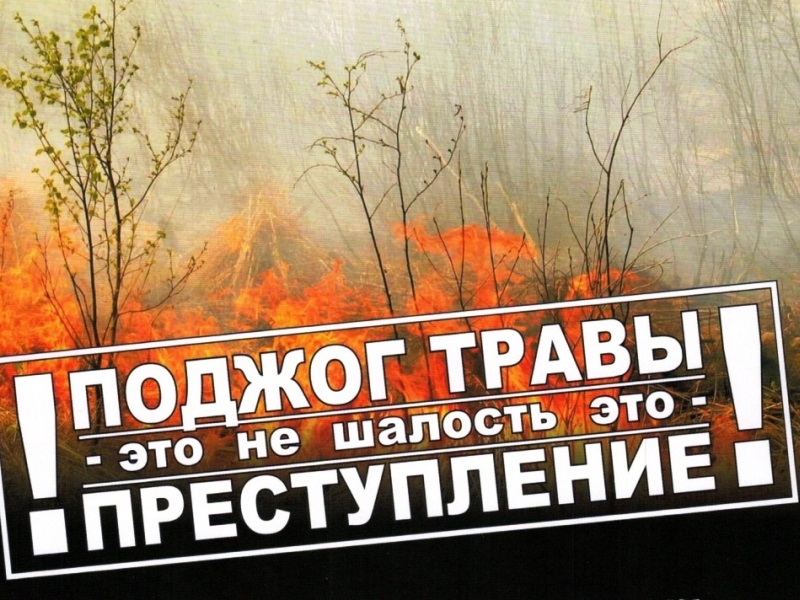 НЕ ЖГИТЕ СУХУЮ ТРАВУ!.